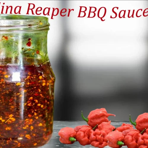 Carolina Reaper BBQ Sauce